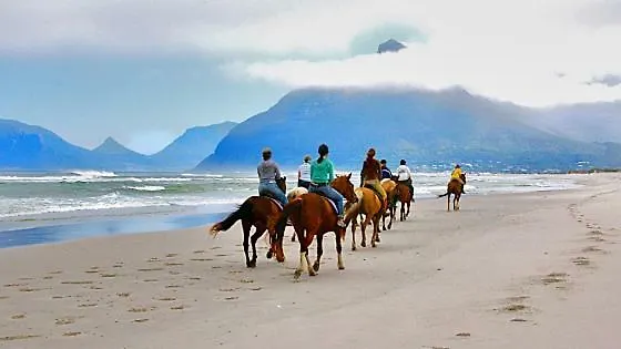 Apartment Sapphire Studio Noordhoek South Africa