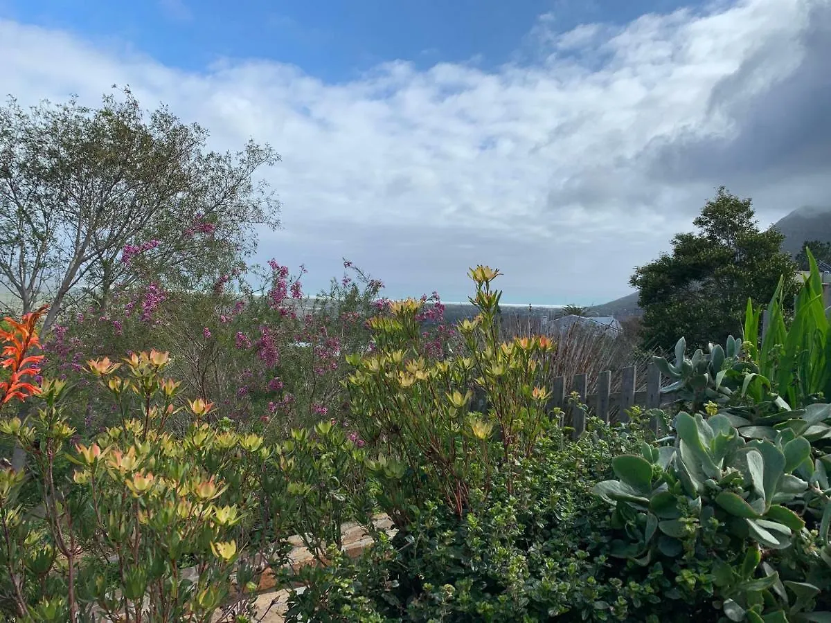 Sapphire Studio Noordhoek