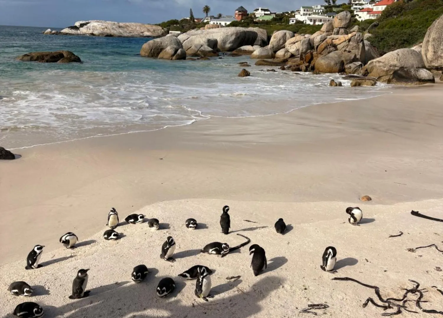 Sapphire Studio Noordhoek